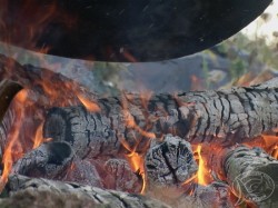 �������� ������ ����� 2005. ���������� 3