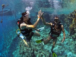 �������� ��������. ���������� 8