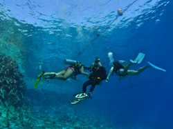 �������� ��������. ���������� 9