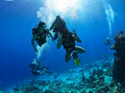 �������� ��������. ���������� 10