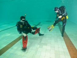 �������� ��������. ���������� 11