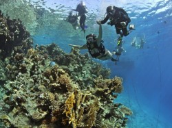 �������� ��������. ���������� 12