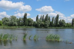 ������� ������� 2012. ���������� 35