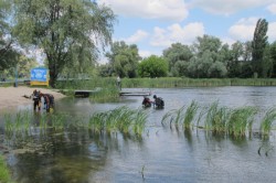 ������� ������� 2012. ���������� 37