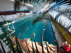 �������� ��������. ���������� 13