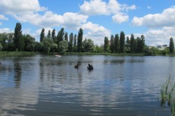 ������� ������� 2012. ���������� 50