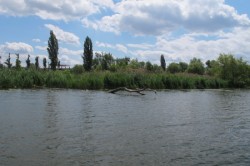 ������� ������� 2012. ���������� 76