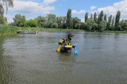 ������� ������� 2012. ���������� 87