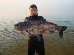 ��������� �����. ���������� 2