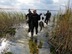 ��������� �����. ���������� 7