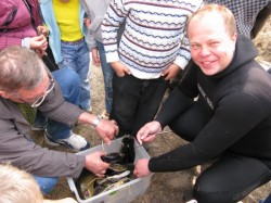 ��������� �����. ���������� 8