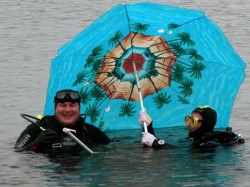 ������� ������� 2009. ���������� 18