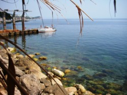 ������ 2010. ���������� 25