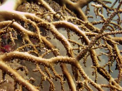 ��������� 2011. ���������� 2