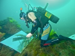 ��������� ��������. ���������� 1