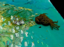 ��������� ��������. ���������� 3