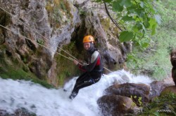 ���������� � ������� ������ 2011. ���������� 117