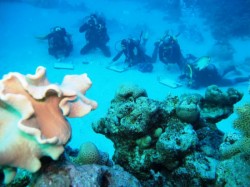 ��������� ��������. ���������� 15