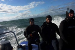 ��� 2011. ���������� 16