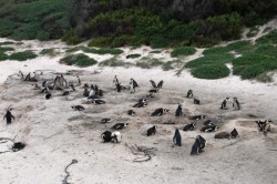 ��� 2011. ���������� 21