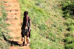 ��� 2011. ���������� 36