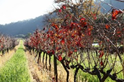 ��� 2011. ���������� 41