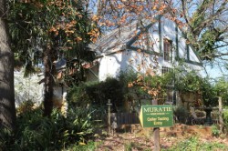 ��� 2011. ���������� 42