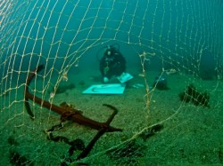 ��������� ��������. ���������� 19