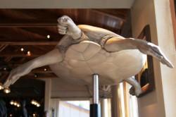 ��� 2011. ���������� 45