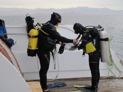 �������� ��������-1