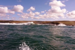 ��� 2011. ���������� 53