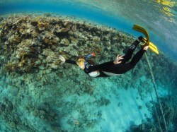 �����������. ���������� 2