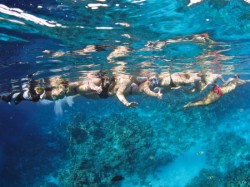 �����������. ���������� 5