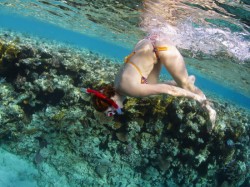 �����������. ���������� 7