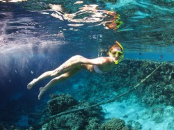 �����������. ���������� 6