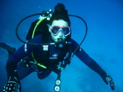 ����������. ���������� 2