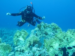 ����������. ���������� 3