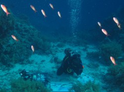 ��������� ��������. ���������� 24