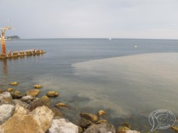 ������ 2012. ���������� 25