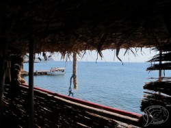 ������ 2012. ���������� 41